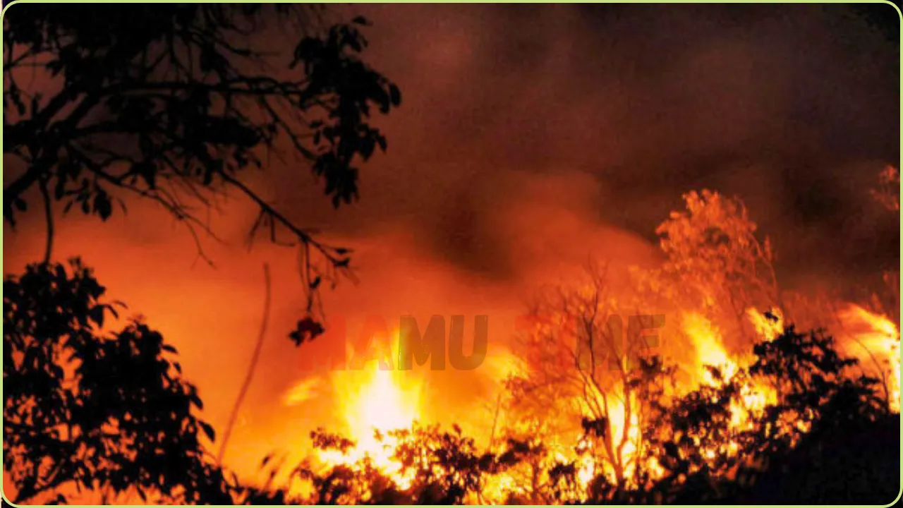 மேற்கு தொடர்ச்சி மலையில் காட்டுத்தீ: சதுரகிரி கோயிலுக்கு பக்தர்கள் செல்ல தடை