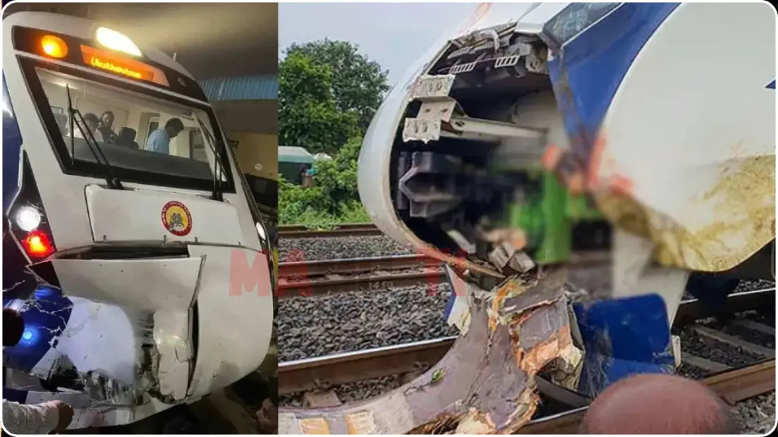 ரயில் மீது மோதும் கால்நடைகள்