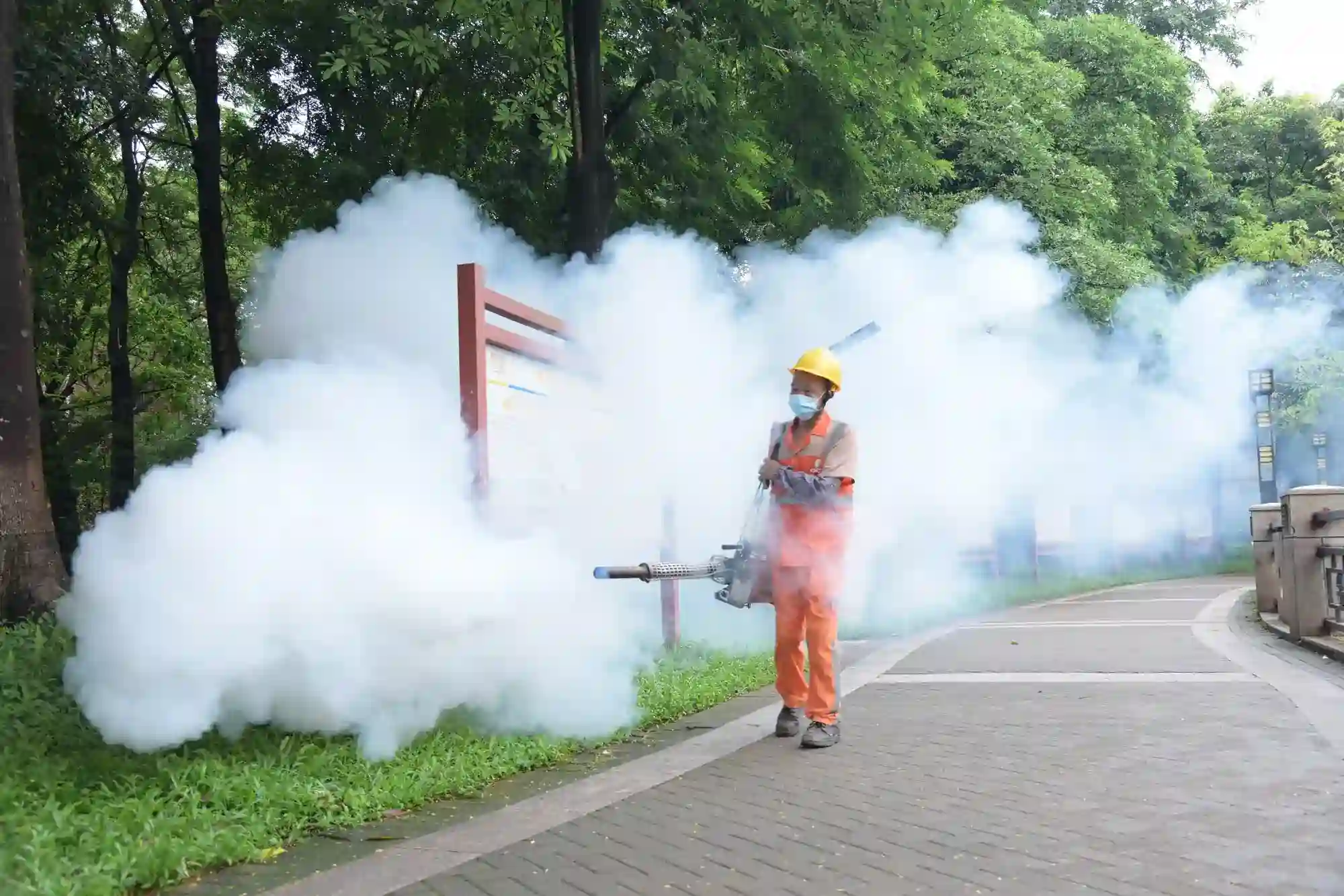 Chikungunya outbreak China