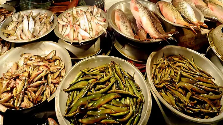 Fish to Avoid During Pregnancy