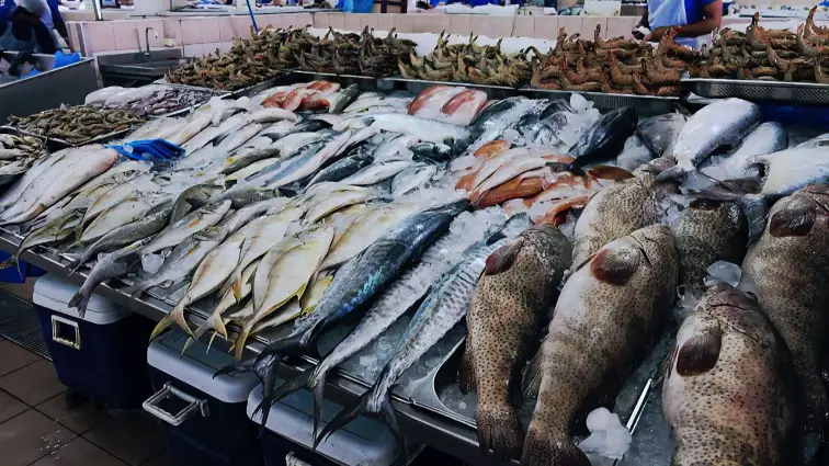 Fish to Avoid During Pregnancy