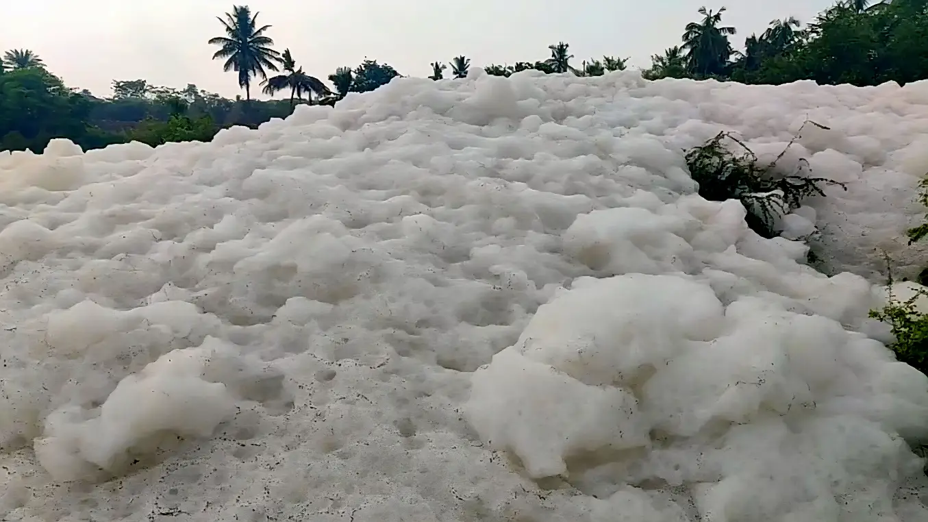 Thenpennai River Pollution