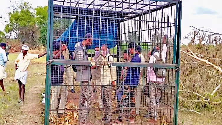 Forest Officials Locked in Cage