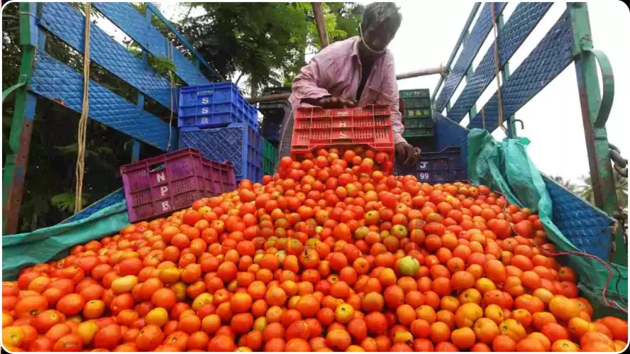 Tomato Price Rs.2/KG