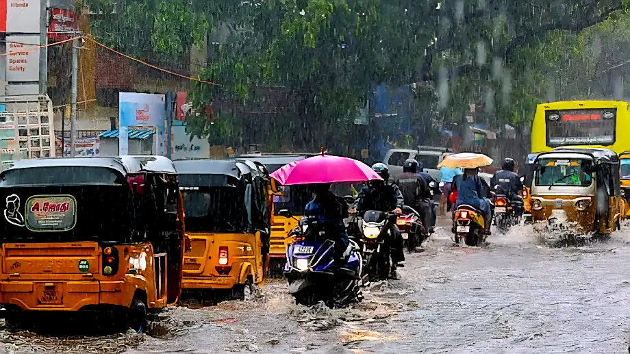 Heavy Rain in Tamil Nadu Today Which Districts