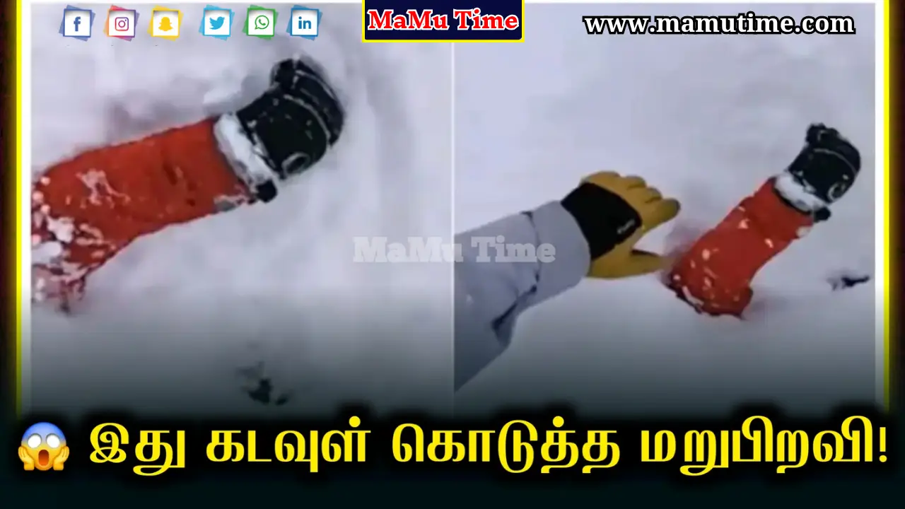 Kashmir Avalanche Rescue 2026