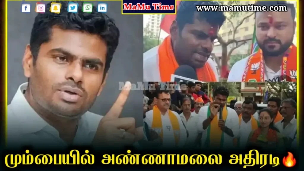 BMC Election Results 2026