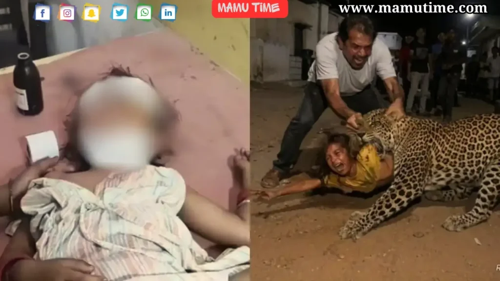 Father saves daughter from leopard